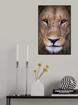 Portrait of the King Poster och Canvastavla