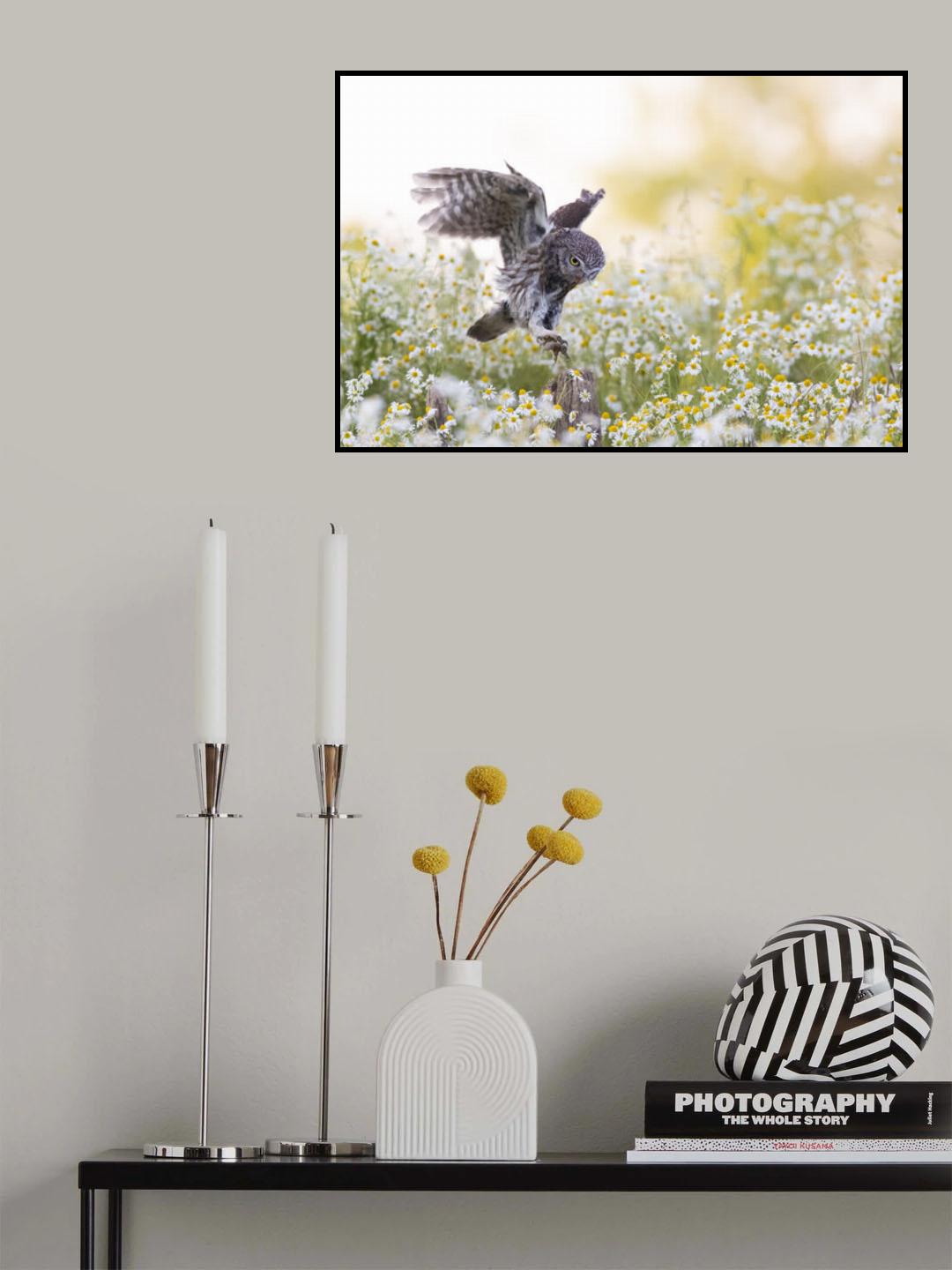 Landing at sunset Poster och Canvastavla