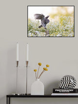 Landing at sunset Poster och Canvastavla