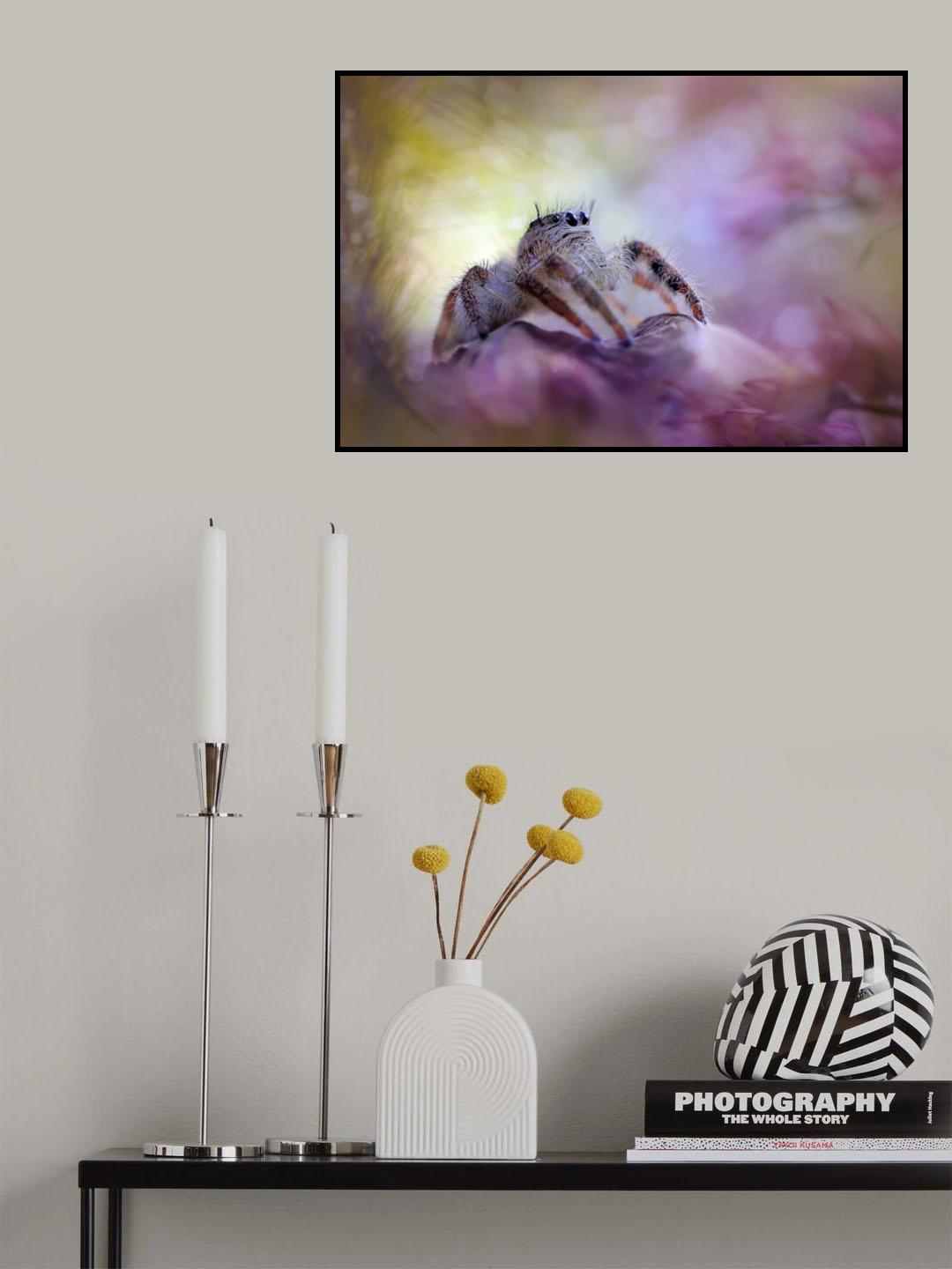 Spider On Pouring Colors Poster och Canvastavla