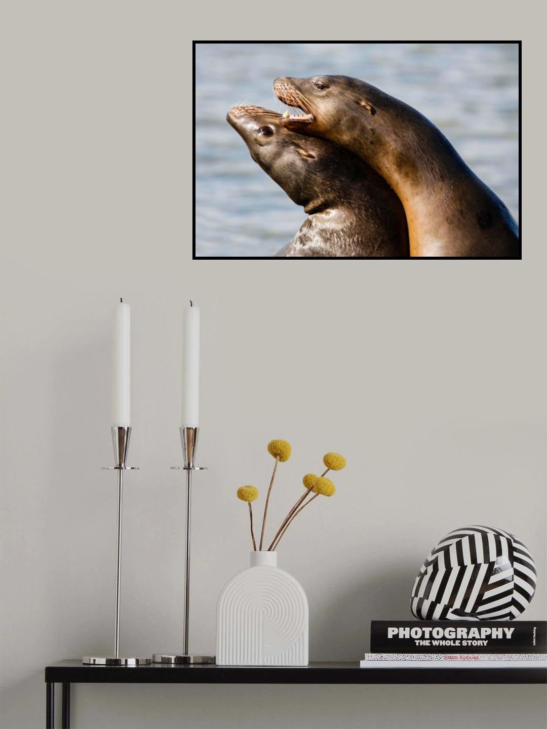 Physical Affection Poster och Canvastavla