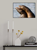 Physical Affection Poster och Canvastavla