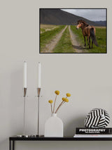 You can Pass By Poster och Canvastavla