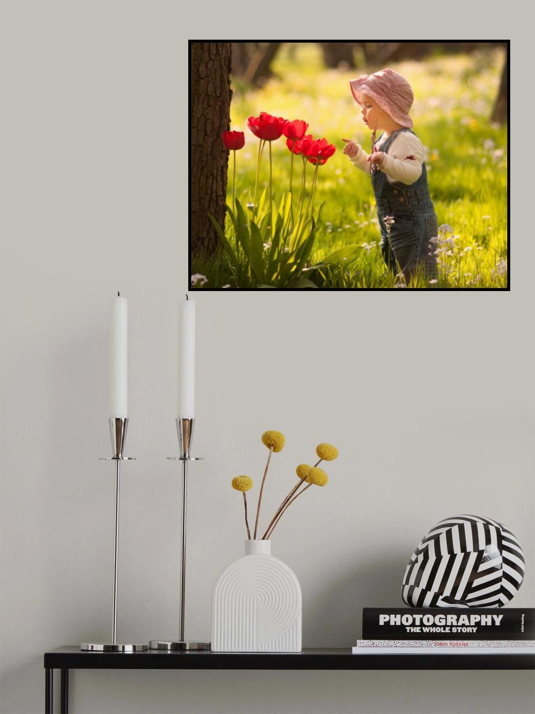 wonders Poster och Canvastavla