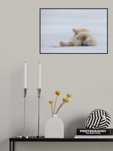 Lazy Play Poster och Canvastavla