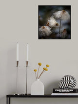The new dress Poster och Canvastavla