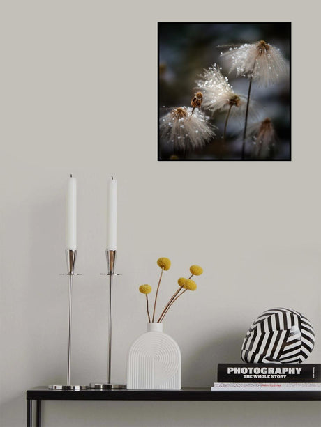 The new dress Poster och Canvastavla