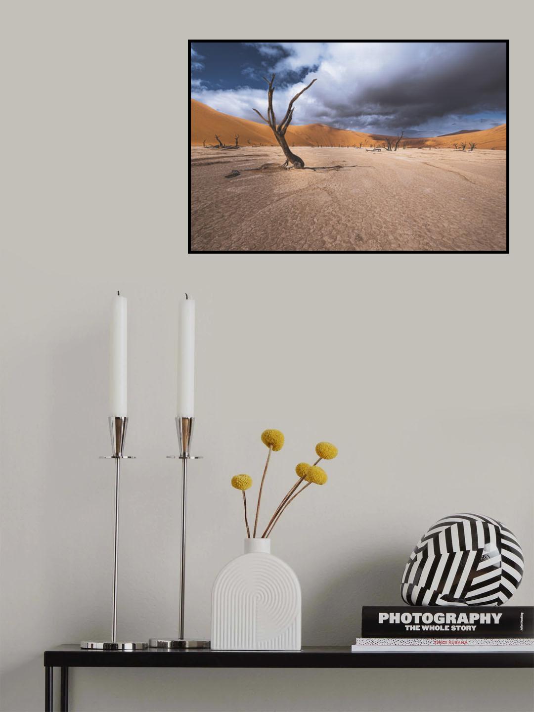 The past life of Deadvlei Poster och Canvastavla