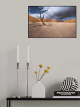 The past life of Deadvlei Poster och Canvastavla