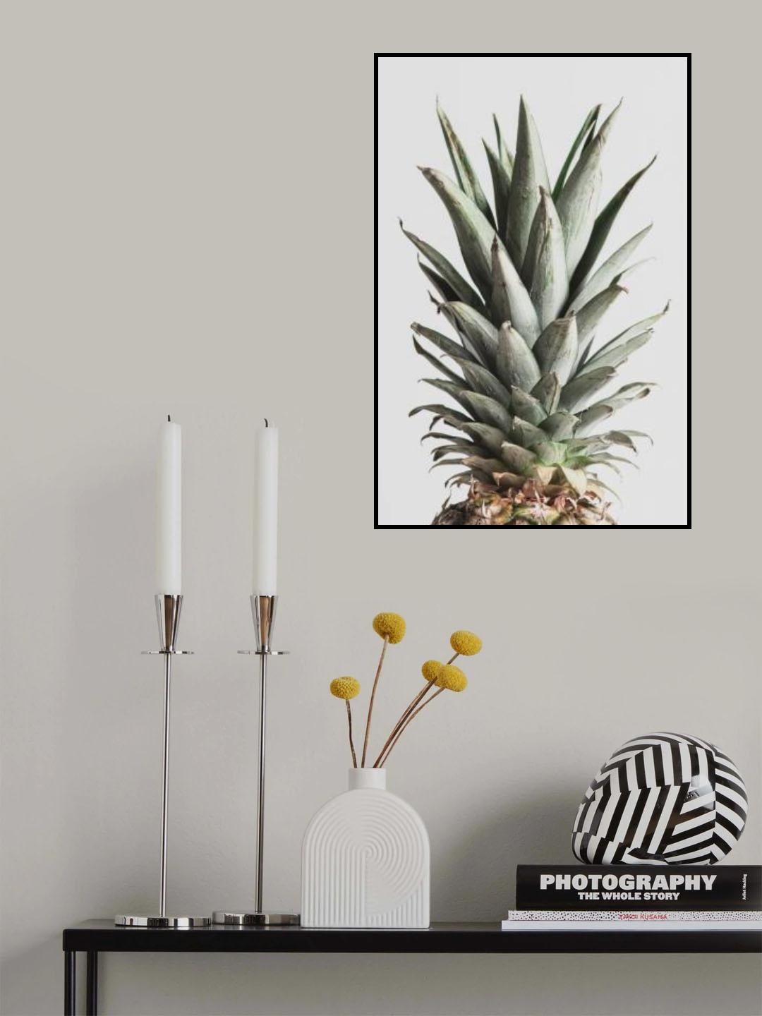 Pineapple Natural 02 Poster och Canvastavla