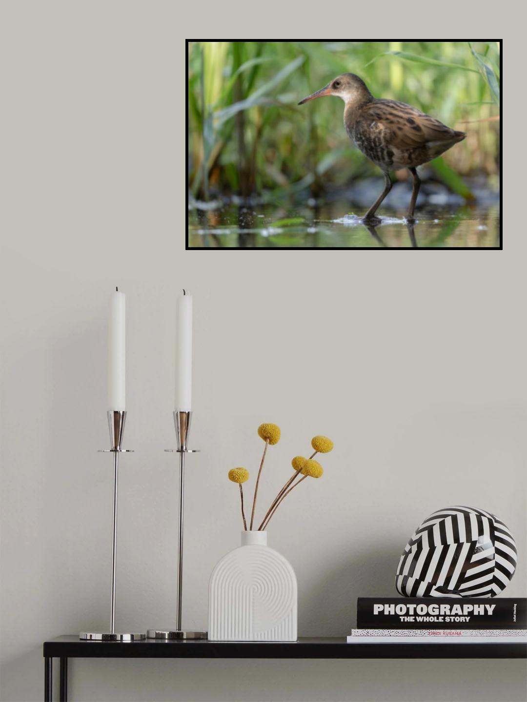 Poster och Canvastavla