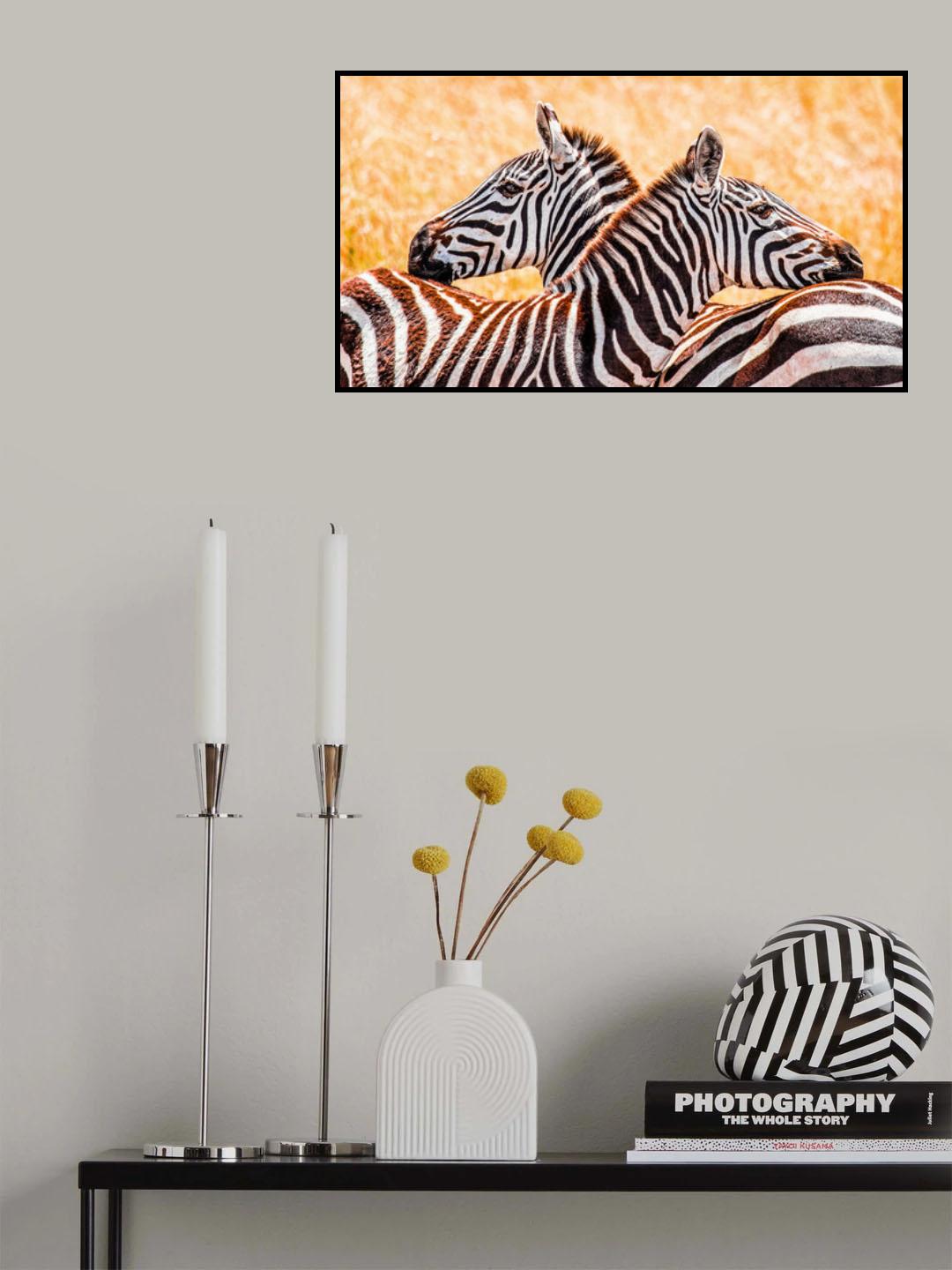 Black, white, &amp; orange Poster och Canvastavla