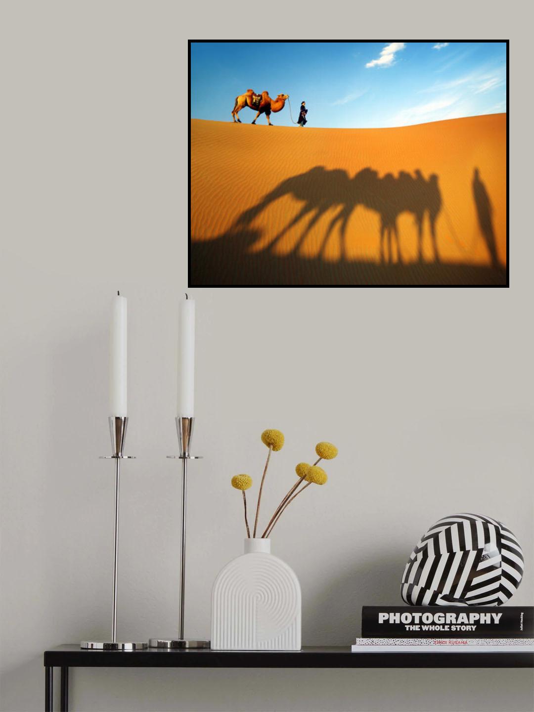 Sun and Shadow Poster och Canvastavla