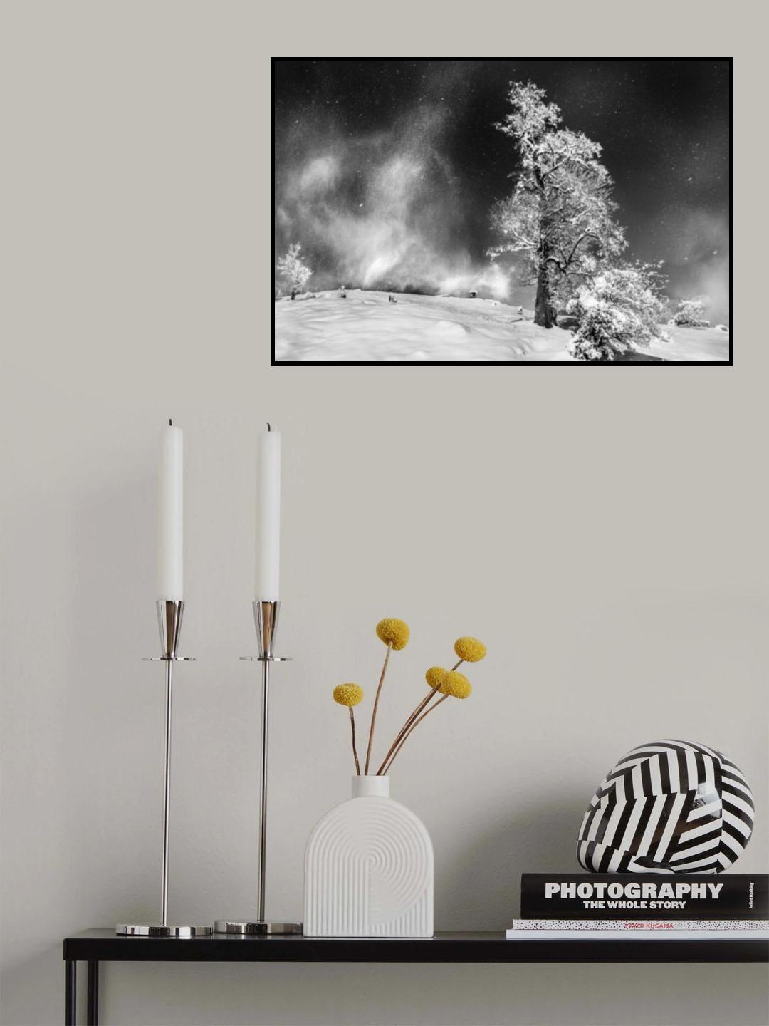 Dancing In The Night Poster och Canvastavla