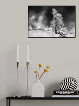 Dancing In The Night Poster och Canvastavla