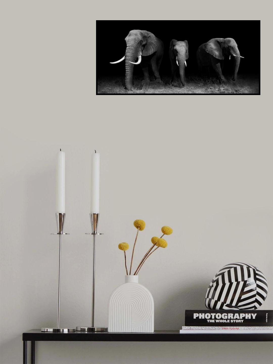 Out of the Darkness Poster och Canvastavla