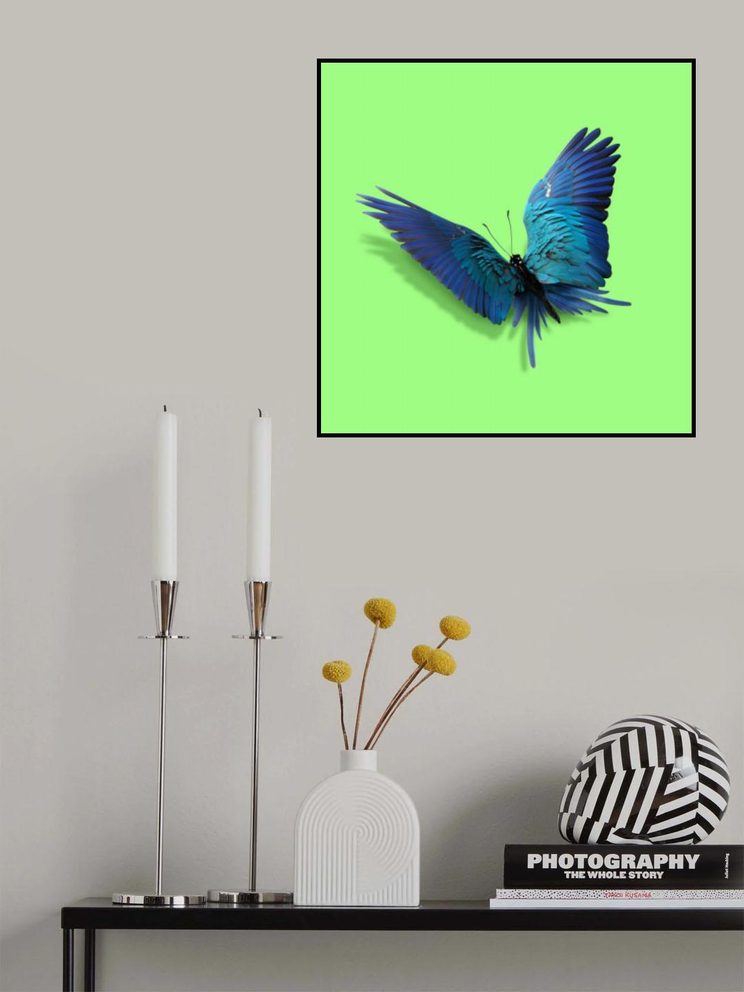 Parrot Butterfly Poster och Canvastavla