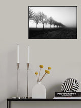 Losing sight Poster och Canvastavla
