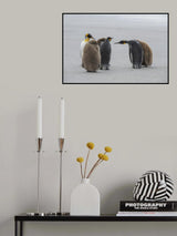 Greetings Among Penguins Poster och Canvastavla