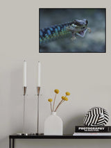 Painted Bronzeback Poster och Canvastavla