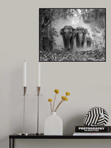 0026 Poster och Canvastavla