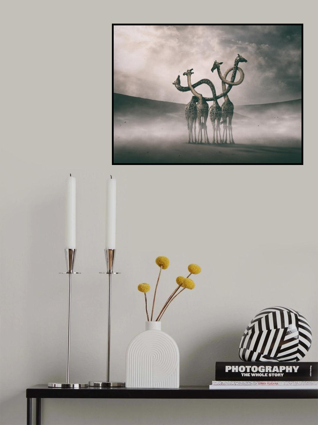 Giraffes Embracing Poster och Canvastavla