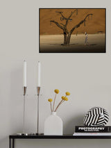The key of life III Poster och Canvastavla