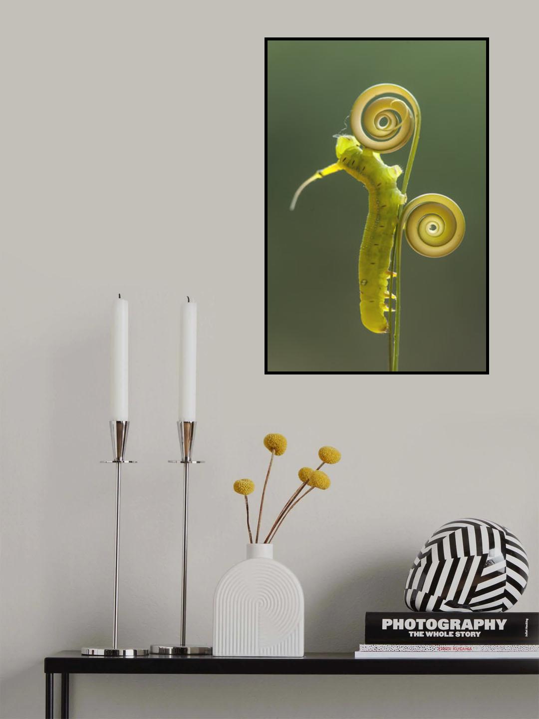 Green Caterpillar Poster och Canvastavla