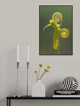 Green Caterpillar Poster och Canvastavla