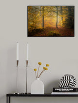Autumn Trees Poster och Canvastavla