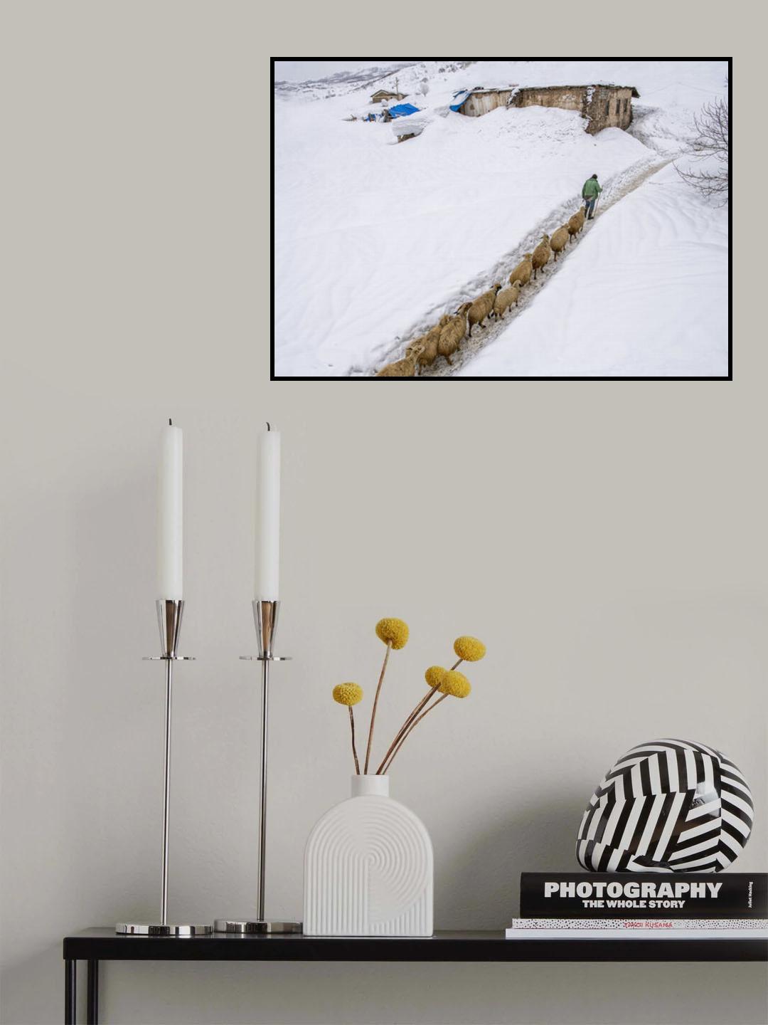 herd and shepherd Poster och Canvastavla