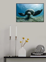 Harvester Poster och Canvastavla