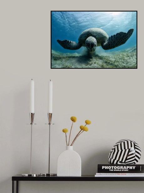 Harvester Poster och Canvastavla