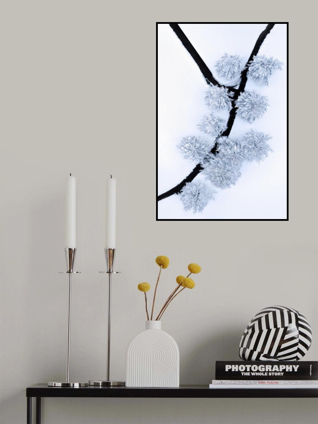 Y Poster och Canvastavla