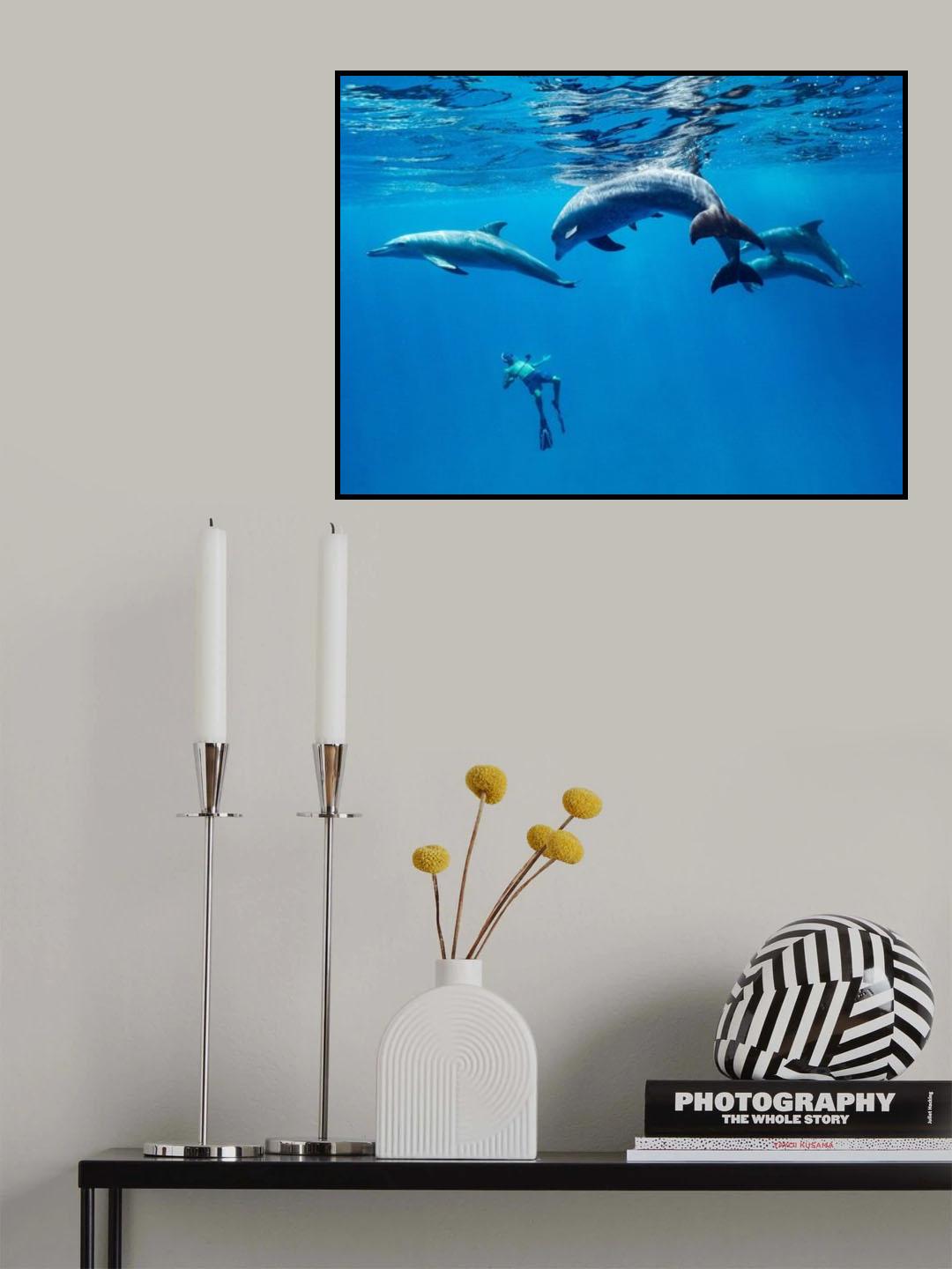 Crazy morning Poster och Canvastavla