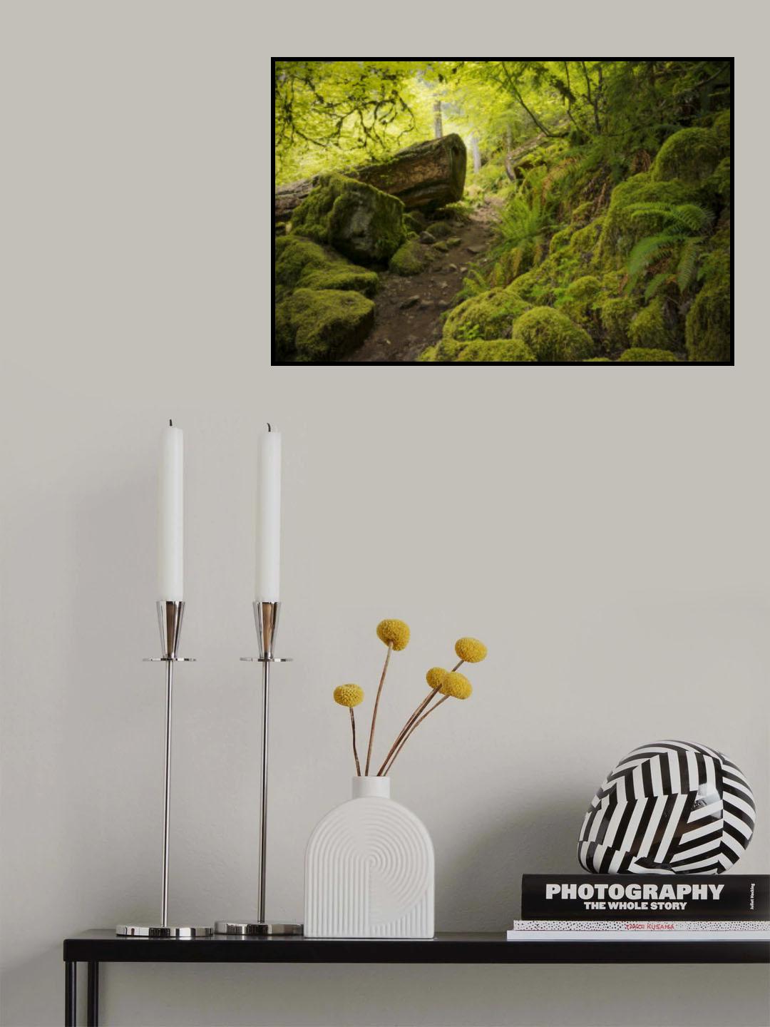 Mossy Path Poster och Canvastavla