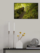 Mossy Path Poster och Canvastavla