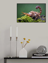 me and offspring Poster och Canvastavla