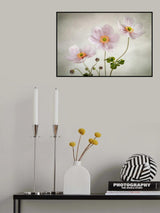 Anemones Poster och Canvastavla