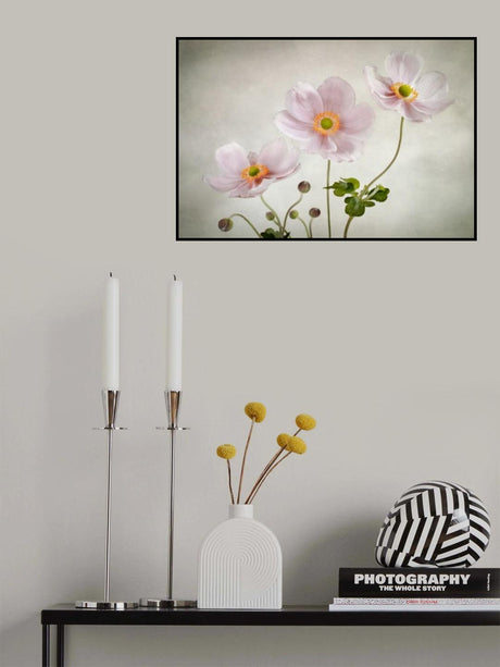 Anemones Poster och Canvastavla