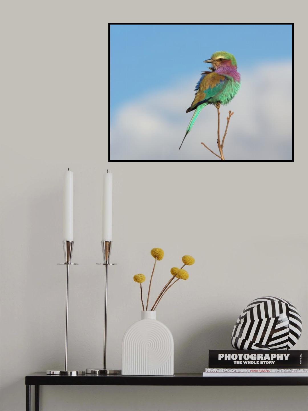 Vantage point Poster och Canvastavla