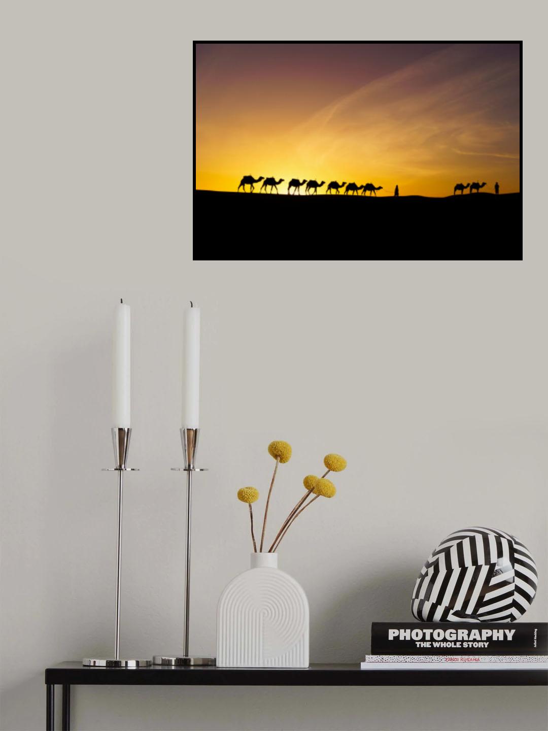Sunrise silhouette of camels and handler, Merzouga Poster och Canvastavla