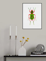 Green tiger beetle or Cicindela campestris Poster och Canvastavla