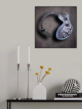 round in a square Poster och Canvastavla