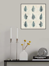 Nine ferns collage Poster och Canvastavla