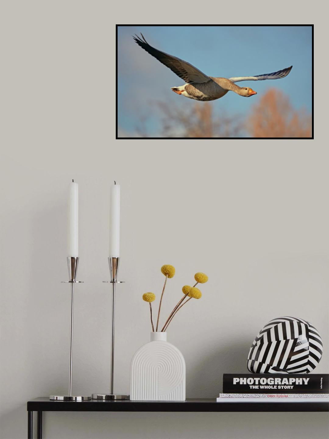 Morning flight Poster och Canvastavla