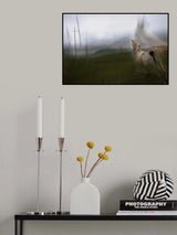 under the power trees Poster och Canvastavla