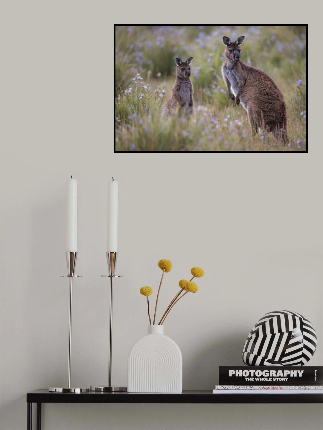 Where are you. Poster och Canvastavla