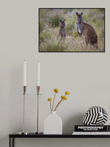 Where are you. Poster och Canvastavla