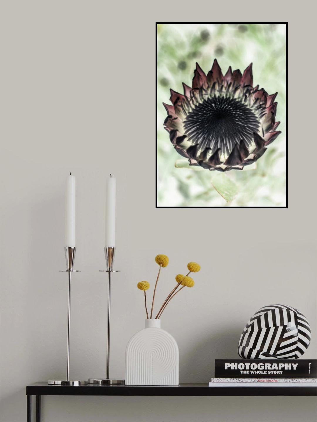King Protea 02 Poster och Canvastavla